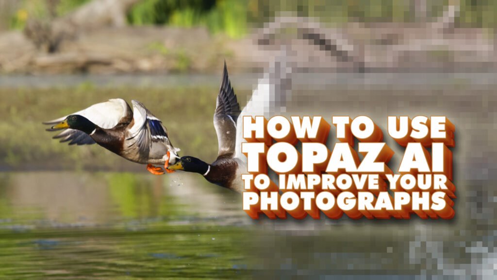 How to use Topaz AI to improve your photographs