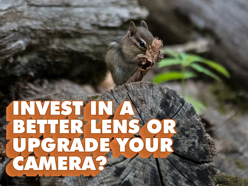 Invest in a better lens or upgrade your camera